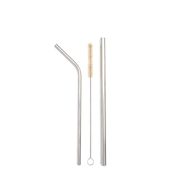 Stainless Steel Straw Set (2 Pack)